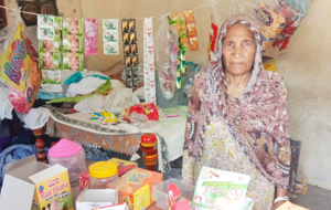 Hanifan bibi