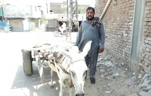 Abdul Rouf