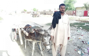 Muhammad Abbas