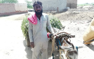 Muhammad Younas