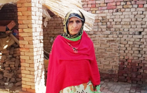 Zarina Shabir