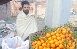 Waqas Ali
