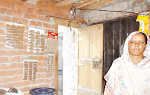 Shahnaz BiBi