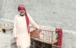 Ali Hussain