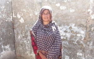 Saima