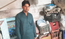 Mohsin Adeel 