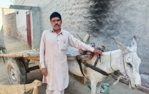 Muhammad bashir