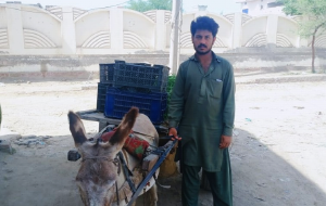 Adnan ali