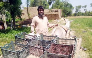 Ghulam Abbas