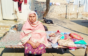 Bushra Shaheen