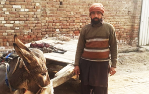Muhammad Fayaz 