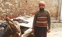 Muhammad Fayaz 