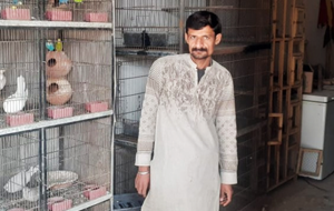 Muhammad Zubair 
