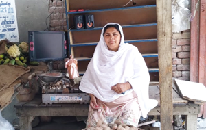 Shareefa Bibi