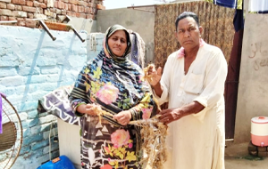 Nasreen Bibi