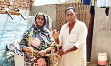 Nasreen Bibi