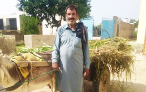 Muhammad Abbas