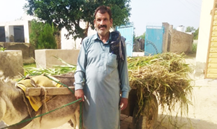 Muhammad Abbas