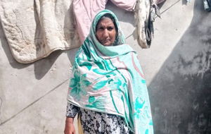 Hanifan Bibi