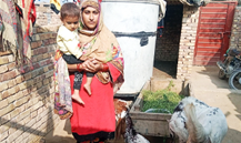 Kanwal Aslam