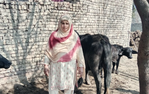 Shameem Bibi