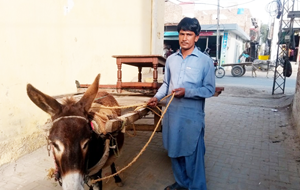 Muhammad Zeeshan
