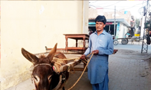 Muhammad Zeeshan