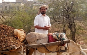 Rizwan Latif