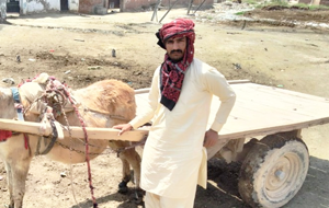 Shahid Mahmood Tariq