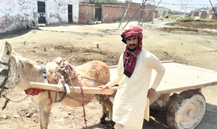 Shahid Mahmood Tariq