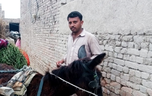 Muhammad Asif 