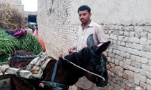 Muhammad Asif 