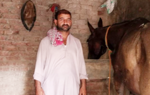 Rashid Salamat 