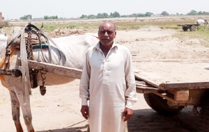 Tasawar Ali 