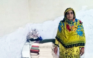 Sardar Bibi