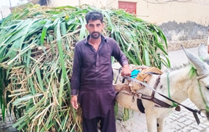 Abid Hussain