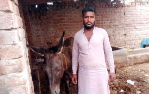 Muhammad sharif 