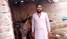 Muhammad sharif 