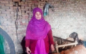 Najma bibi