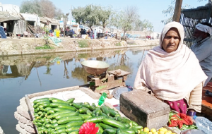 Halima Bibi