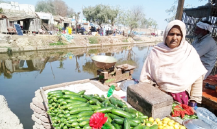 Halima Bibi