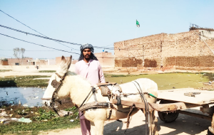 Muhammad Farooq
