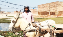 Muhammad Farooq