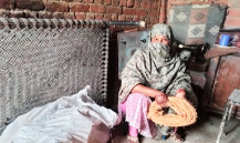 Muqadas Shafaqat