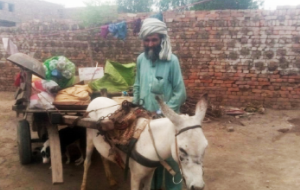 Muhammad Bashir