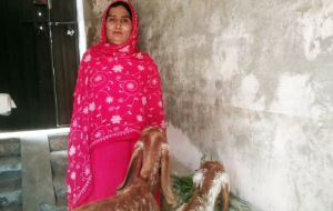 Yasmeen bibi
