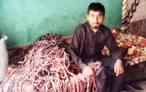 Muhammad Zain Ul Abideen