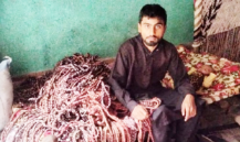 Muhammad Zain Ul Abideen