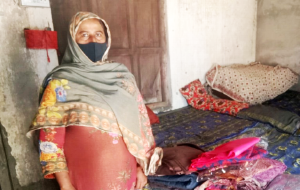 Bushra Shaheen