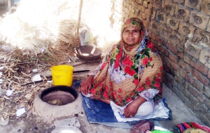 Nasreen Bibi